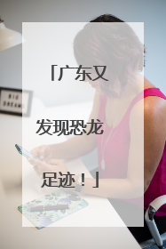 广东又发现恐龙足迹！