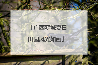 广西罗城夏日田园风光如画