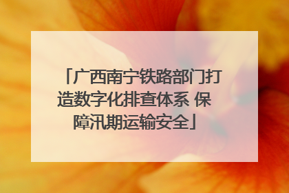 广西南宁铁路部门打造数字化排查体系 保障汛期运输安全