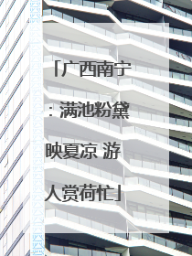 广西南宁：满池粉黛映夏凉 游人赏荷忙