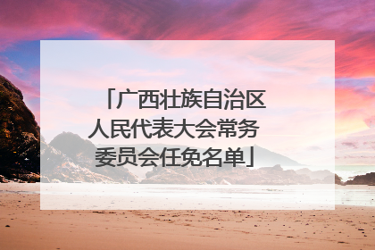 广西壮族自治区人民代表大会常务委员会任免名单