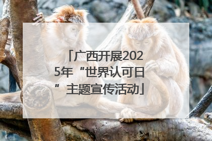 广西开展2025年“世界认可日”主题宣传活动
