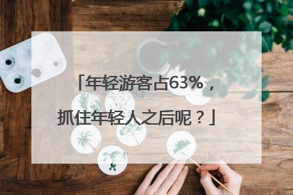 年轻游客占63%，抓住年轻人之后呢？