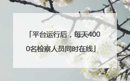 平台运行后，每天4000名检察人员同时在线