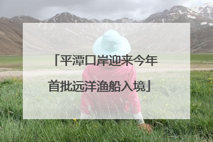 平潭口岸迎来今年首批远洋渔船入境