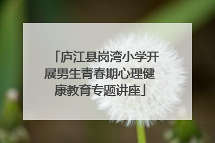 庐江县岗湾小学开展男生青春期心理健康教育专题讲座