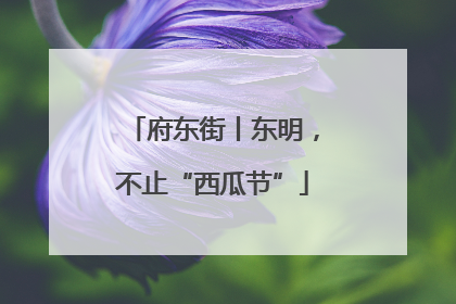 府东街丨东明，不止“西瓜节”