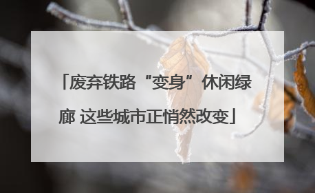 废弃铁路“变身”休闲绿廊 这些城市正悄然改变