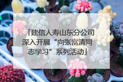 建信人寿山东分公司深入开展“向张富清同志学习”系列活动