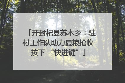 开封杞县苏木乡：驻村工作队助力夏粮抢收按下 “快进键”