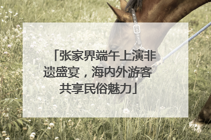 张家界端午上演非遗盛宴，海内外游客共享民俗魅力