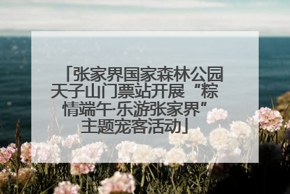 张家界国家森林公园天子山门票站开展“粽情端午·乐游张家界”主题宠客活动