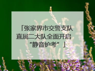 张家界市交警支队直属二大队全面开启“静音护考”