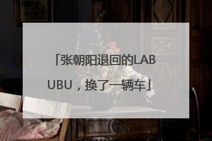 张朝阳退回的LABUBU，换了一辆车