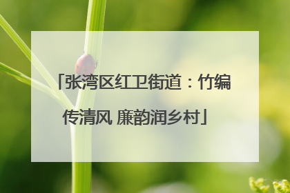 张湾区红卫街道：竹编传清风 廉韵润乡村