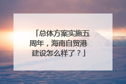 总体方案实施五周年，海南自贸港建设怎么样了？