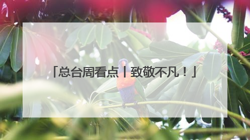 总台周看点丨致敬不凡！