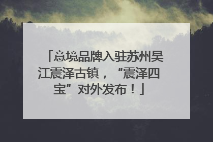 意境品牌入驻苏州吴江震泽古镇，“震泽四宝”对外发布！