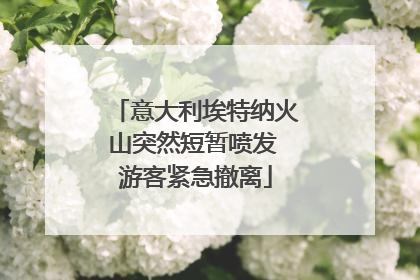 意大利埃特纳火山突然短暂喷发 游客紧急撤离