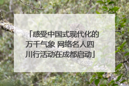 感受中国式现代化的万千气象 网络名人四川行活动在成都启动