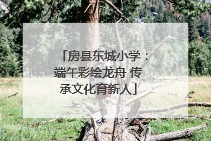房县东城小学：端午彩绘龙舟 传承文化育新人