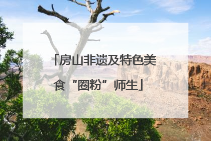 房山非遗及特色美食“圈粉”师生