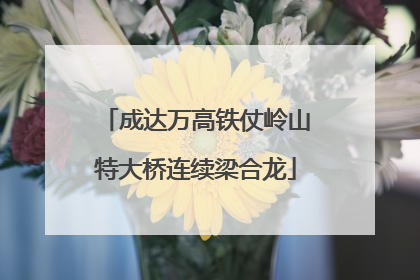 成达万高铁仗岭山特大桥连续梁合龙
