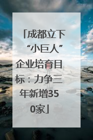 成都立下“小巨人”企业培育目标：力争三年新增350家