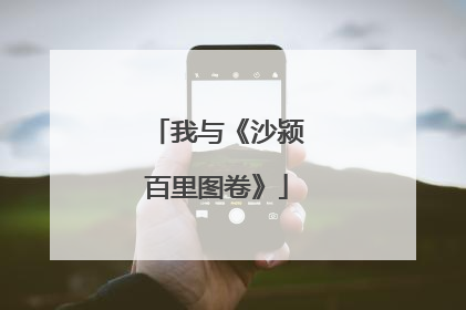 我与《沙颍百里图卷》