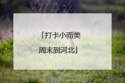 打卡小而美 周末到河北