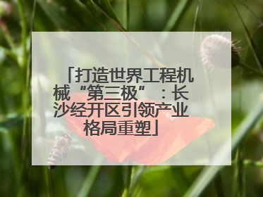 打造世界工程机械“第三极”：长沙经开区引领产业格局重塑
