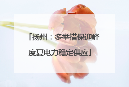 扬州：多举措保迎峰度夏电力稳定供应