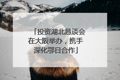 投资湖北恳谈会在大阪举办，携手深化鄂日合作
