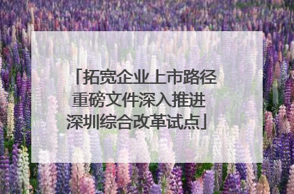拓宽企业上市路径 重磅文件深入推进深圳综合改革试点