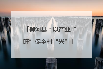 柳河县：以产业“旺”促乡村“兴”