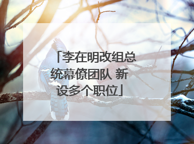 李在明改组总统幕僚团队 新设多个职位