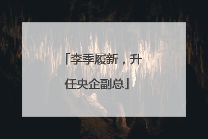 李季履新，升任央企副总
