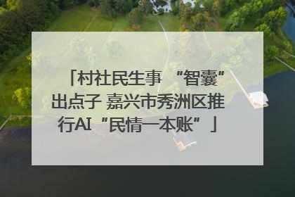 村社民生事 “智囊”出点子 嘉兴市秀洲区推行AI“民情一本账”