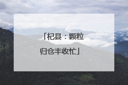 杞县：颗粒归仓丰收忙