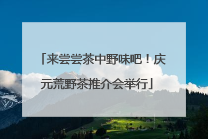 来尝尝茶中野味吧！庆元荒野茶推介会举行
