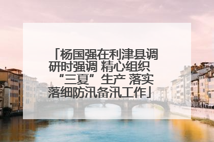 杨国强在利津县调研时强调 精心组织“三夏”生产 落实落细防汛备汛工作