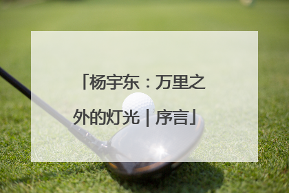 杨宇东：万里之外的灯光｜序言