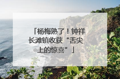 杨梅熟了！钟祥长滩镇收获“舌尖上的惊喜”