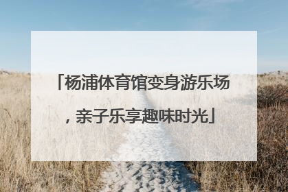 杨浦体育馆变身游乐场，亲子乐享趣味时光