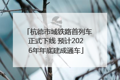 杭德市域铁路首列车正式下线 预计2026年年底建成通车