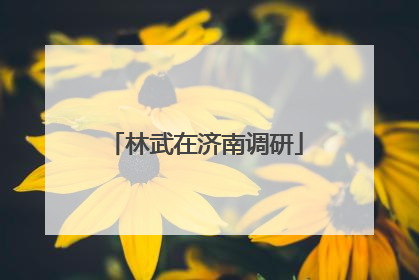 林武在济南调研