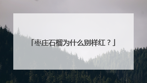 枣庄石榴为什么别样红？