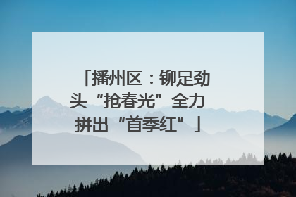 播州区：铆足劲头“抢春光”全力拼出“首季红”