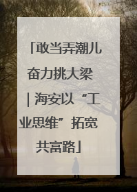敢当弄潮儿 奋力挑大梁｜海安以“工业思维”拓宽共富路