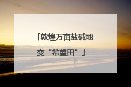 敦煌万亩盐碱地变“希望田”